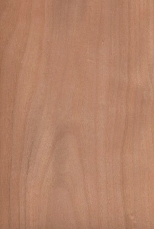 Cherry European veneer